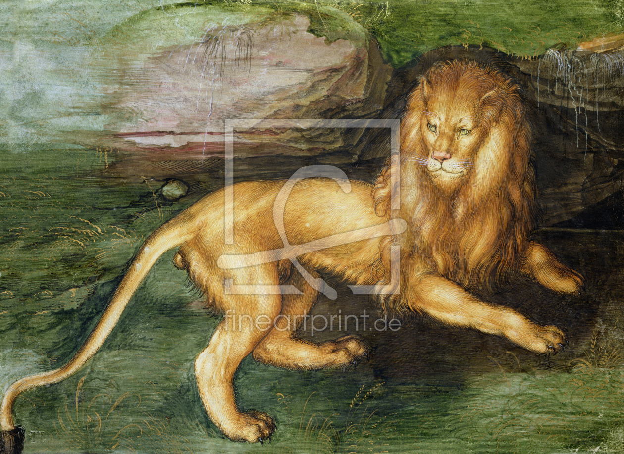 Bild-Nr.: 31000356 Lion erstellt von Dürer, Albrecht