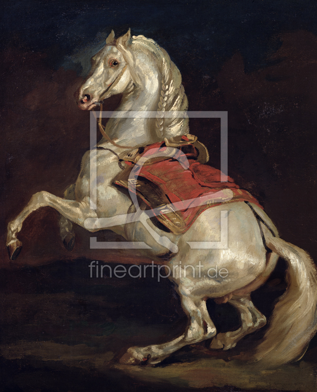 Bild-Nr.: 31000500 Napoleon's Stallion, Tamerlan erstellt von Géricault, Théodore