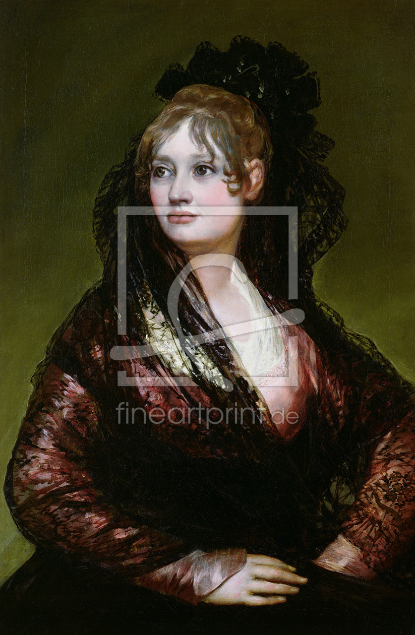 Bild-Nr.: 31000531 Dona Isabel de Porcel, exh. 1805 Bild-Nr.: 31000531 Dona Isabel de Porcel, exh. 1805 erstellt von Goya, Francisco de