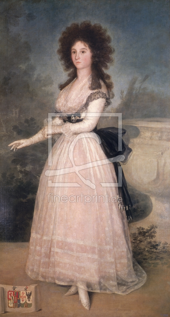 Bild-Nr.: 31000532 Dona Tadea Arias de Enriquez, 1793-94 erstellt von Goya, Francisco de