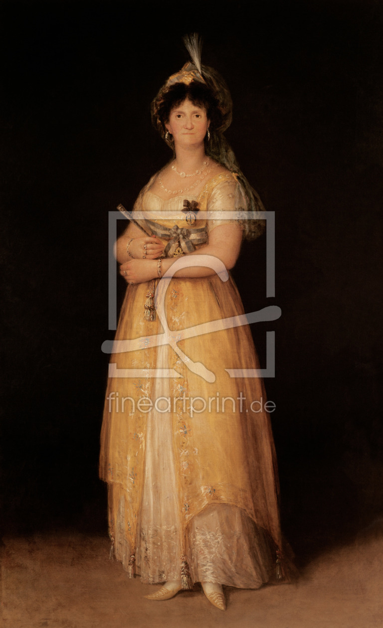 Bild-Nr.: 31000542 Portrait of Queen Maria Luisa wife of King Charles IV of Spain Bild-Nr.: 31000542 Portrait of Queen Maria Luisa wife of King Charles IV of Spain erstellt von Goya, Francisco de