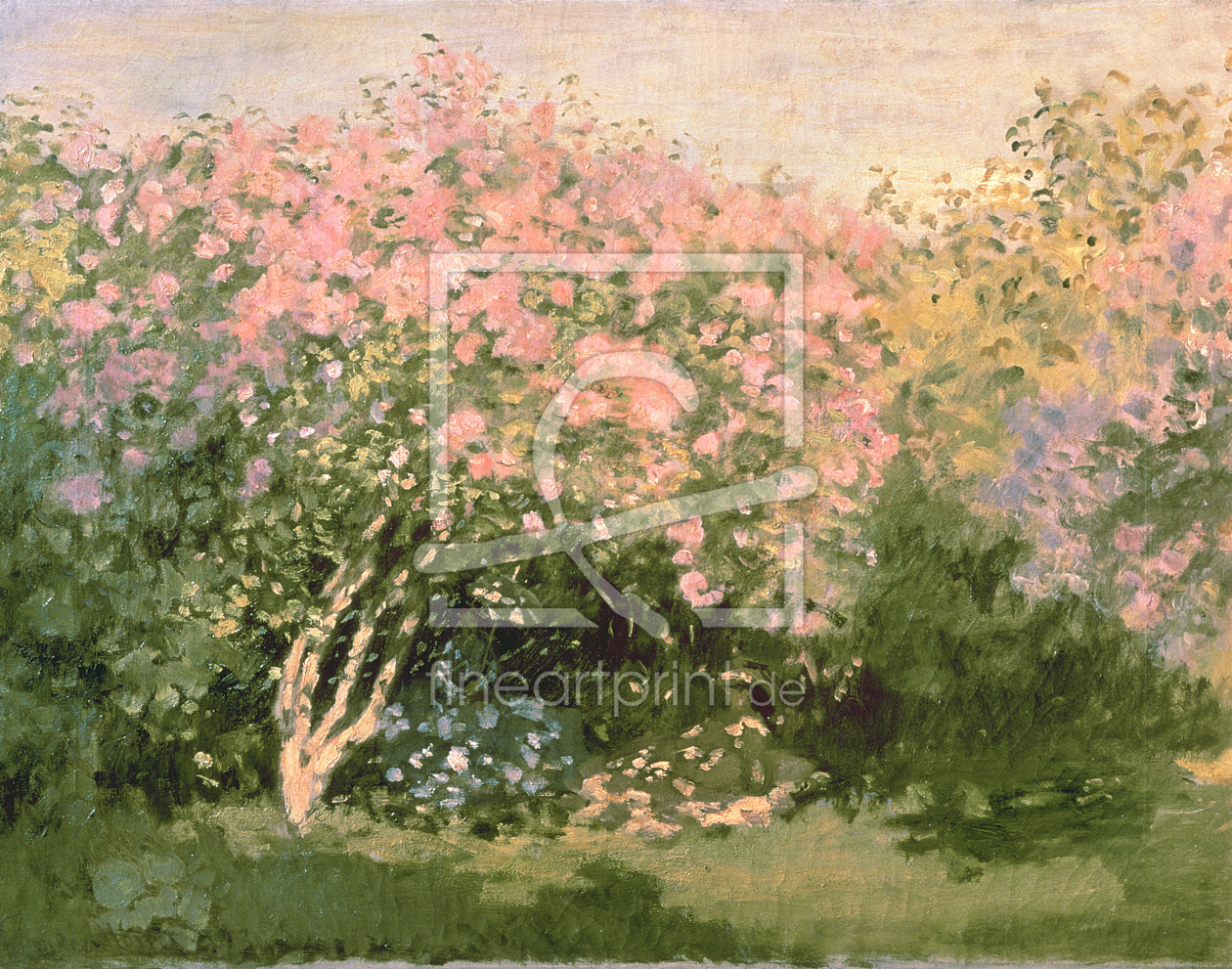 Bild-Nr.: 31000859 Lilac in the Sun, 1873 erstellt von Monet, Claude