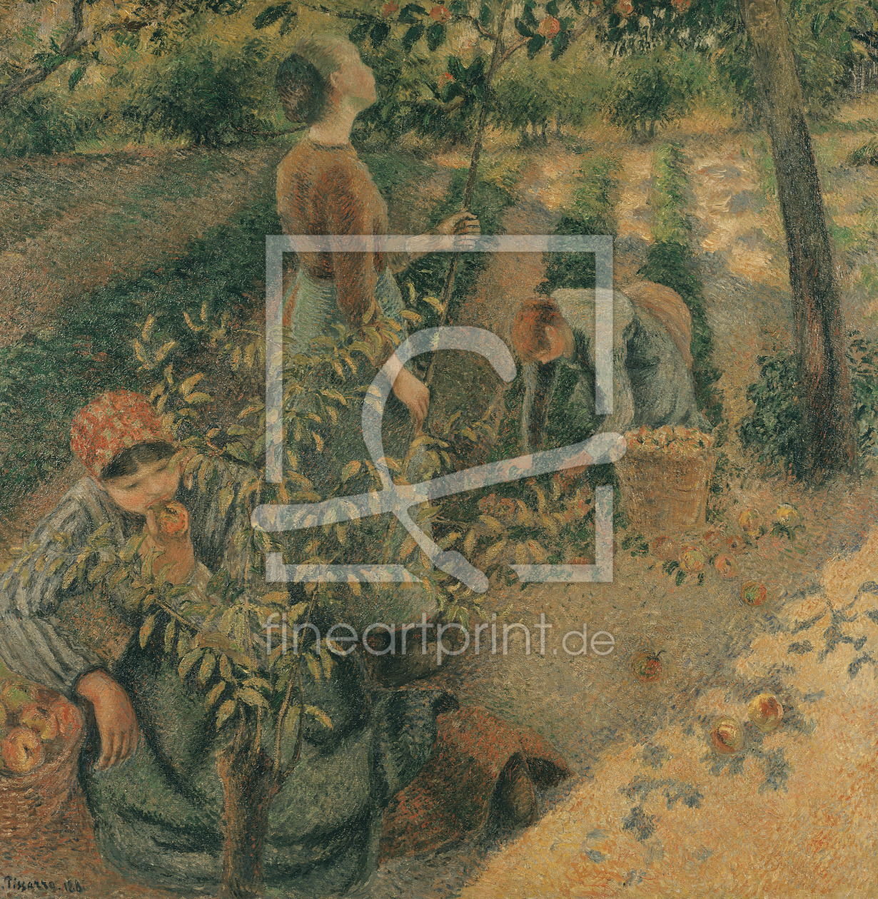 Bild-Nr.: 31000951 The Apple Pickers, 1886 erstellt von Pissarro, Camille