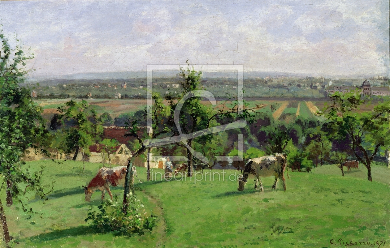 Bild-Nr.: 31000964 Hillside of Vesinet, Yvelines, 1871 erstellt von Pissarro, Camille