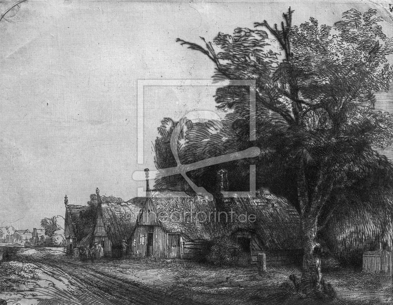 Bild-Nr.: 31001032 Landscape with Three Cottages, 1650 erstellt von Rembrandt Harmenszoon van Rijn