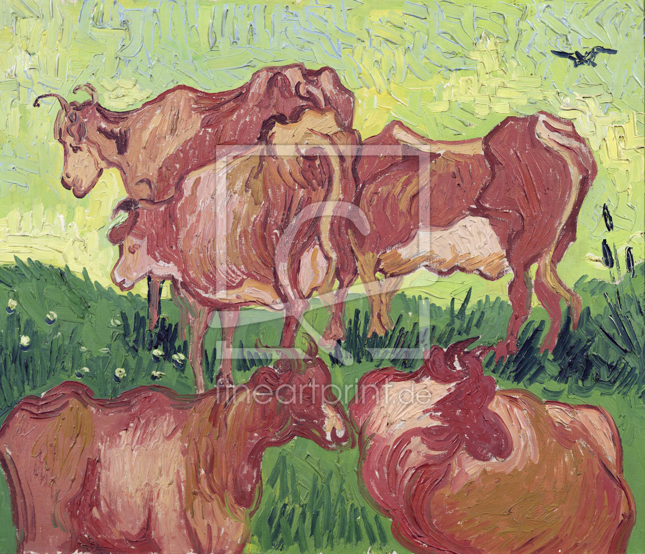 Bild-Nr.: 31001331 Cows, 1890 erstellt von van Gogh, Vincent