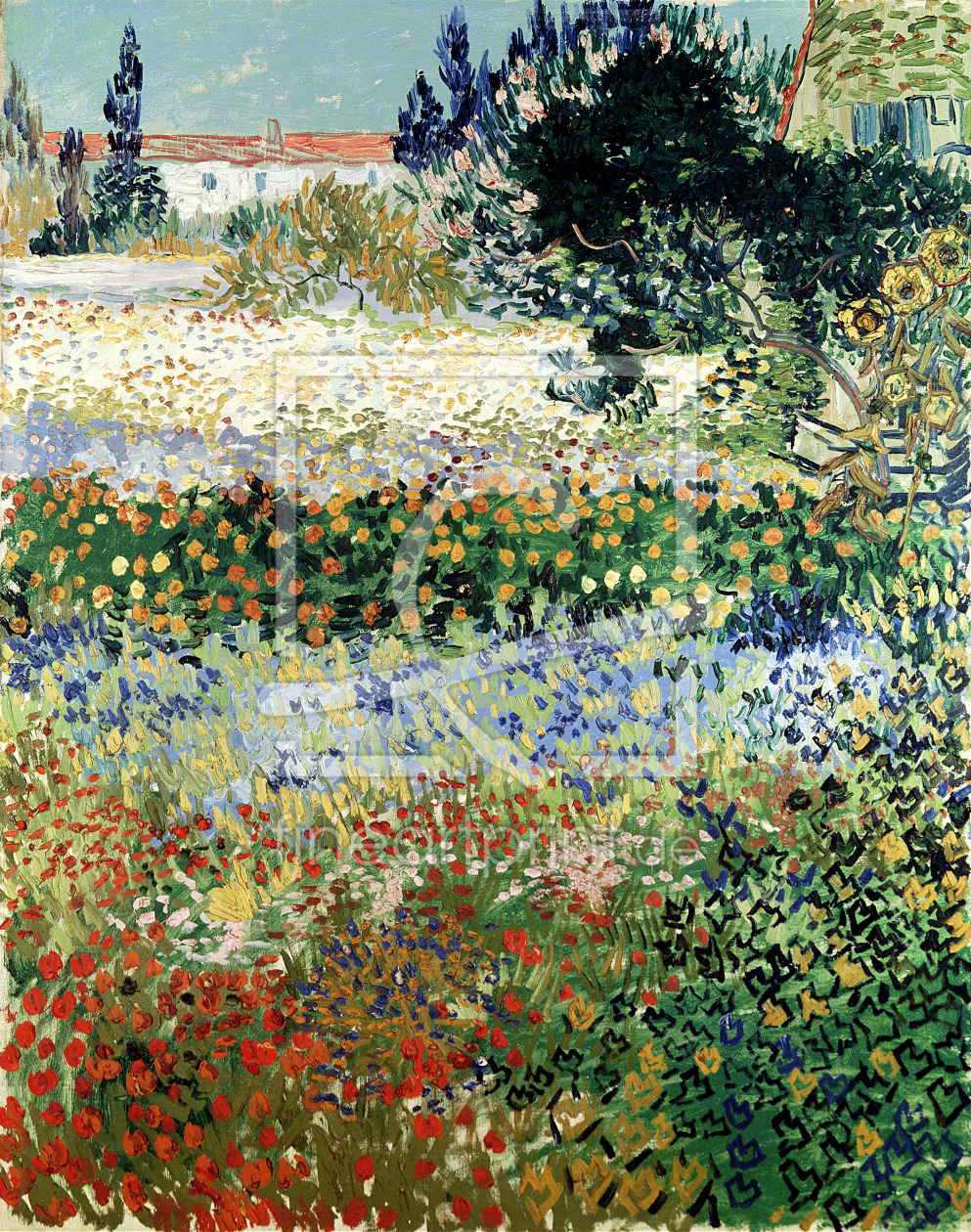 Bild-Nr.: 31001355 Garden in Bloom, Arles, July 1888 erstellt von van Gogh, Vincent