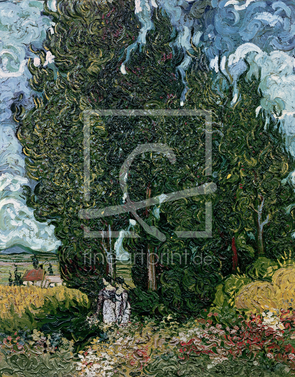Bild-Nr.: 31001364 The cypresses, c.1889-90 erstellt von van Gogh, Vincent