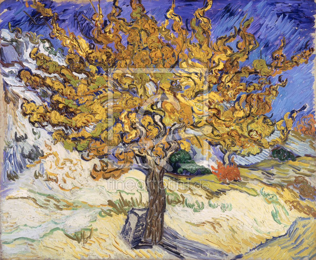 Bild-Nr.: 31001368 Mulberry Tree, 1889 erstellt von van Gogh, Vincent