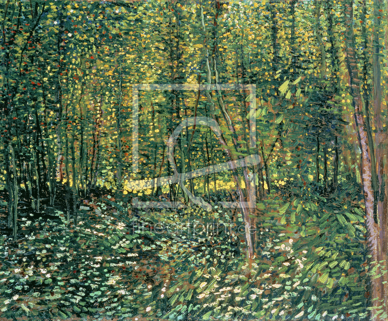 Bild-Nr.: 31001372 Trees and Undergrowth, 1887 erstellt von van Gogh, Vincent