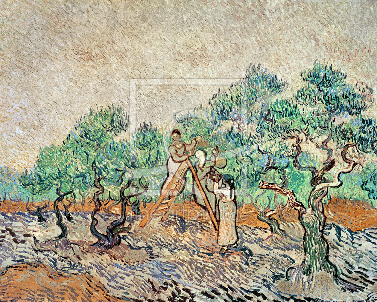 Bild-Nr.: 31001375 The Olive Orchard, 1889 Bild-Nr.: 31001375 The Olive Orchard, 1889 erstellt von van Gogh, Vincent