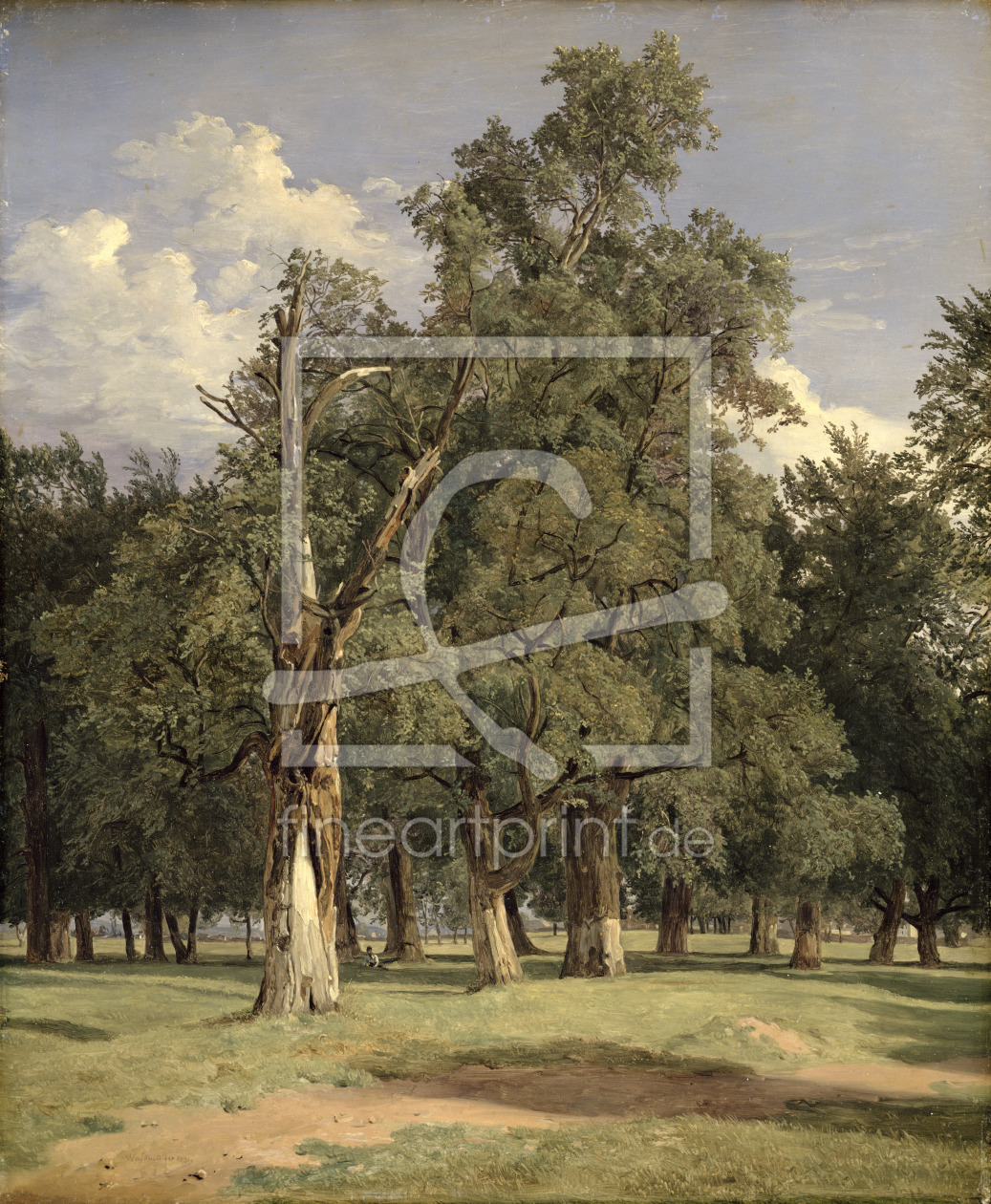 Bild-Nr.: 31001423 Elm trees in Prater, 1831 erstellt von Waldmüller, Ferdinand Georg