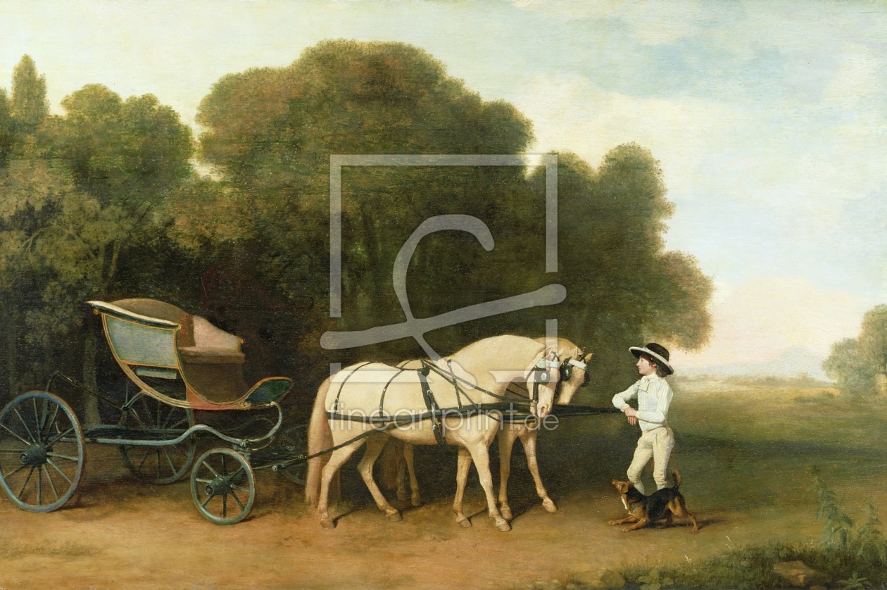 Bild-Nr.: 31001437 A Phaeton with a Pair of Cream Ponies in the Charge of a Stable-Lad, c.1780-5 erstellt von Stubbs, George