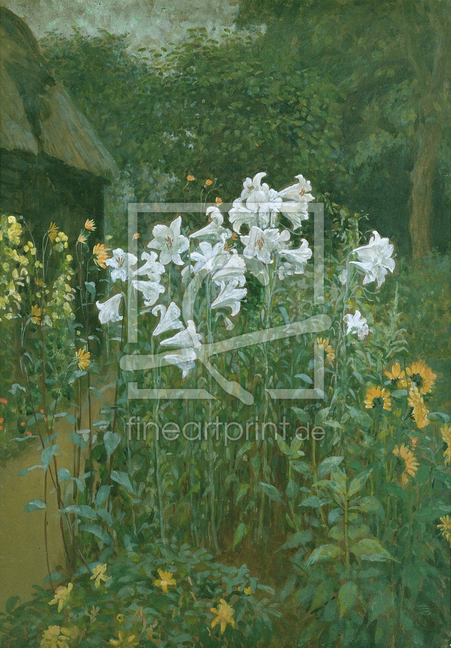 Bild-Nr.: 31001563 Madonna Lilies in a Garden erstellt von Crane, Walter