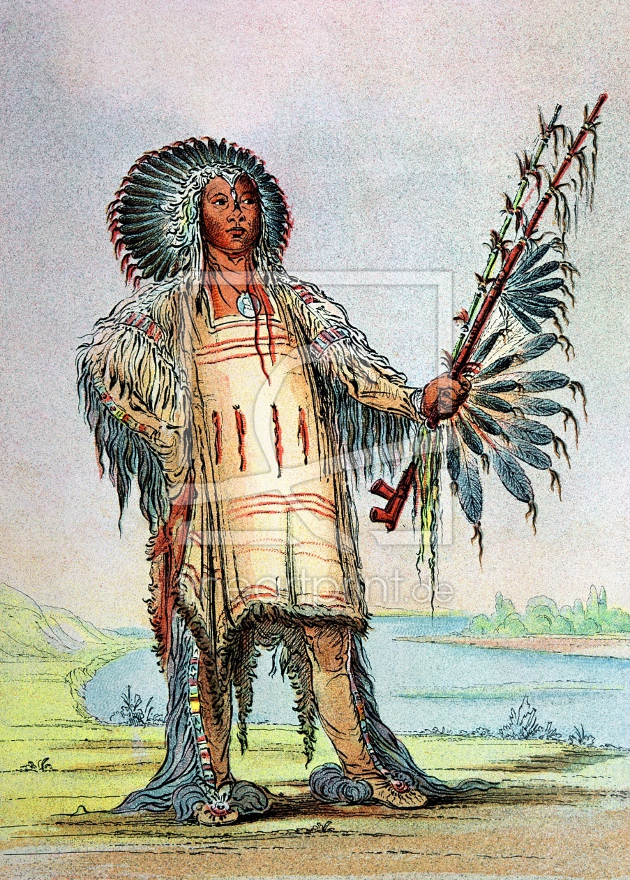 Bild-Nr.: 31001701 Mandan Indian Ha-Na-Tah-Muah, Wolf chief erstellt von Catlin, George