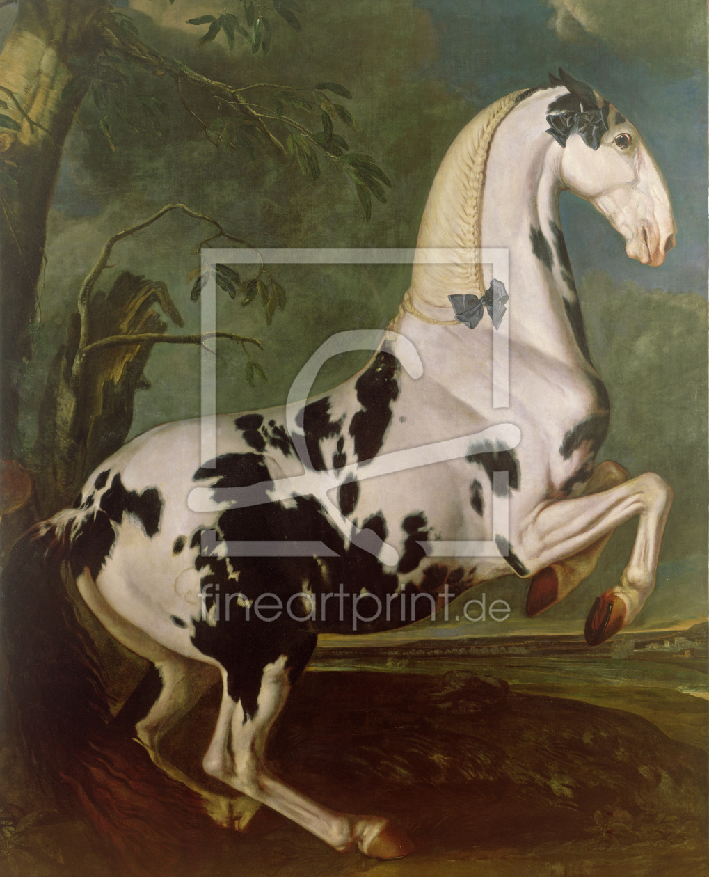 Bild-Nr.: 31001724 The Piebald Stallion at the Eisgruber Stud erstellt von Hamilton, Johann Georg