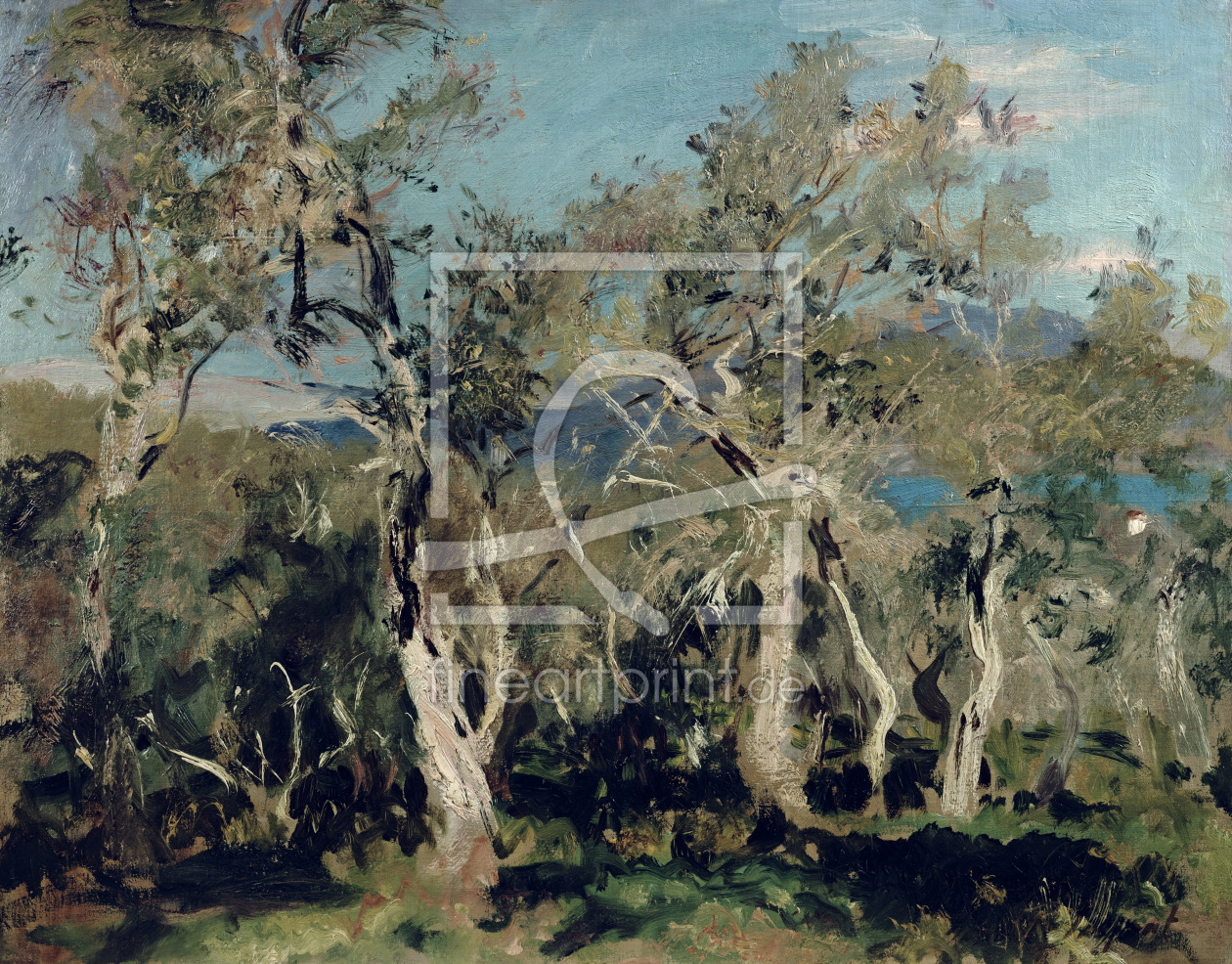 Bild-Nr.: 31001728 Olives, Corfu, 1912 Bild-Nr.: 31001728 Olives, Corfu, 1912 erstellt von Sargent, John Singer