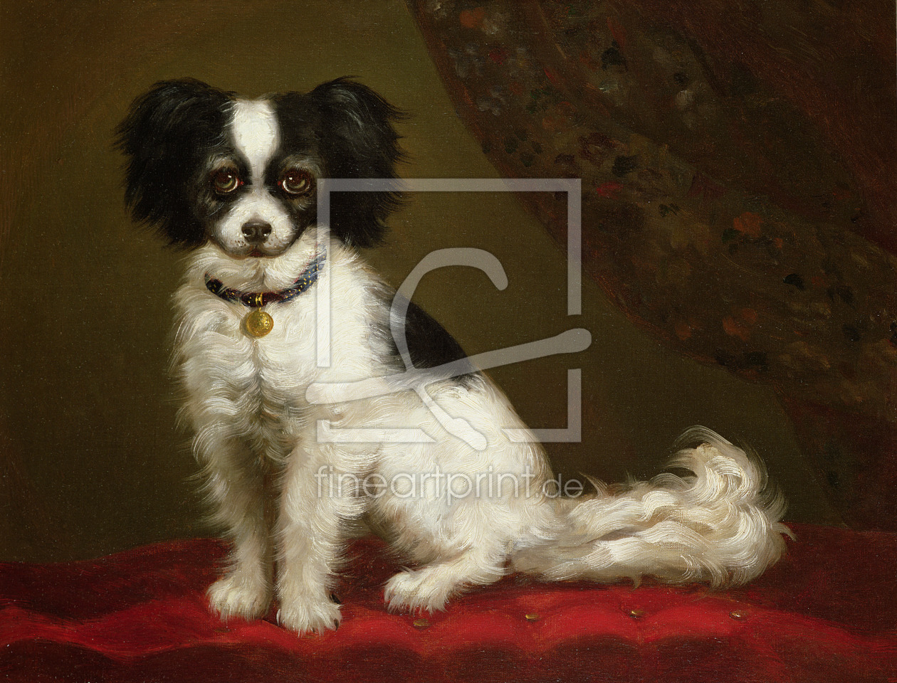 Bild-Nr.: 31001807 Portrait of a Spaniel erstellt von Anonyme Künstler