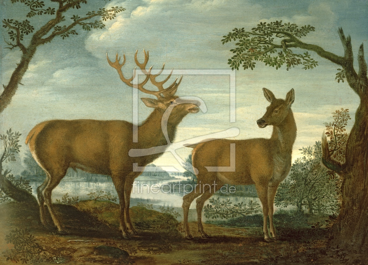 Bild-Nr.: 31001865 Stag and hind in a wooded landscape erstellt von Anonyme Künstler