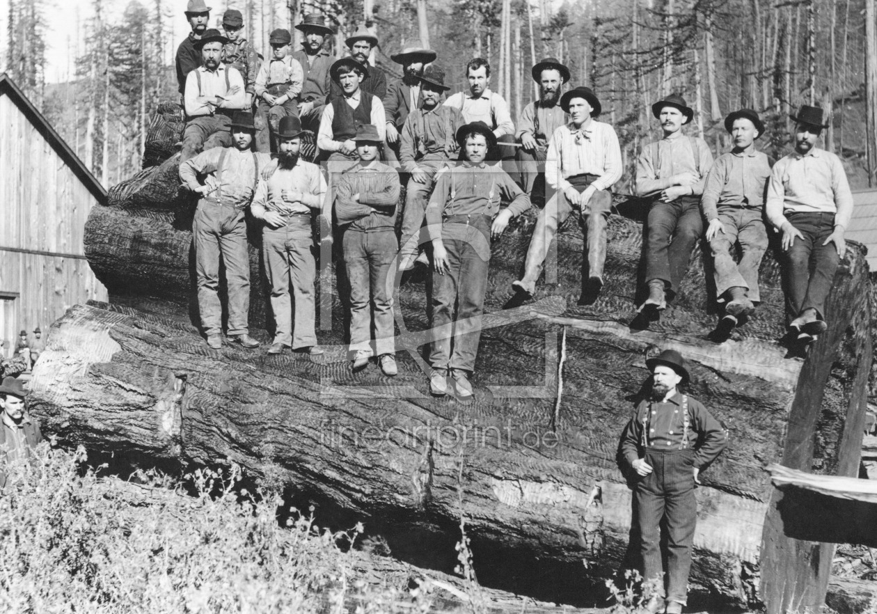 Bild-Nr.: 31001882 Woodcutters in California, 1891 erstellt von Unbekannte Fotografen