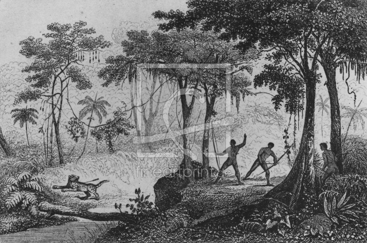 Bild-Nr.: 31001899 Jaguar Hunt, from 'Bresil, Columbie et Guyanes' by Ferdinand Denis and Cesar Fam Bild-Nr.: 31001899 Jaguar Hunt, from 'Bresil, Columbie et Guyanes' by Ferdinand Denis and Cesar Fam erstellt von Anonyme Künstler