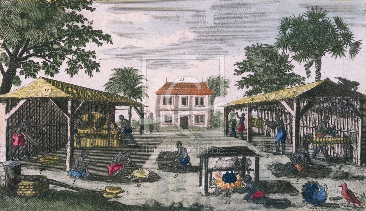 Bild-Nr.: 31001949 The Colonial Household, illustration from 'Histoire Generale des Antilles Habite erstellt von Anonyme Künstler