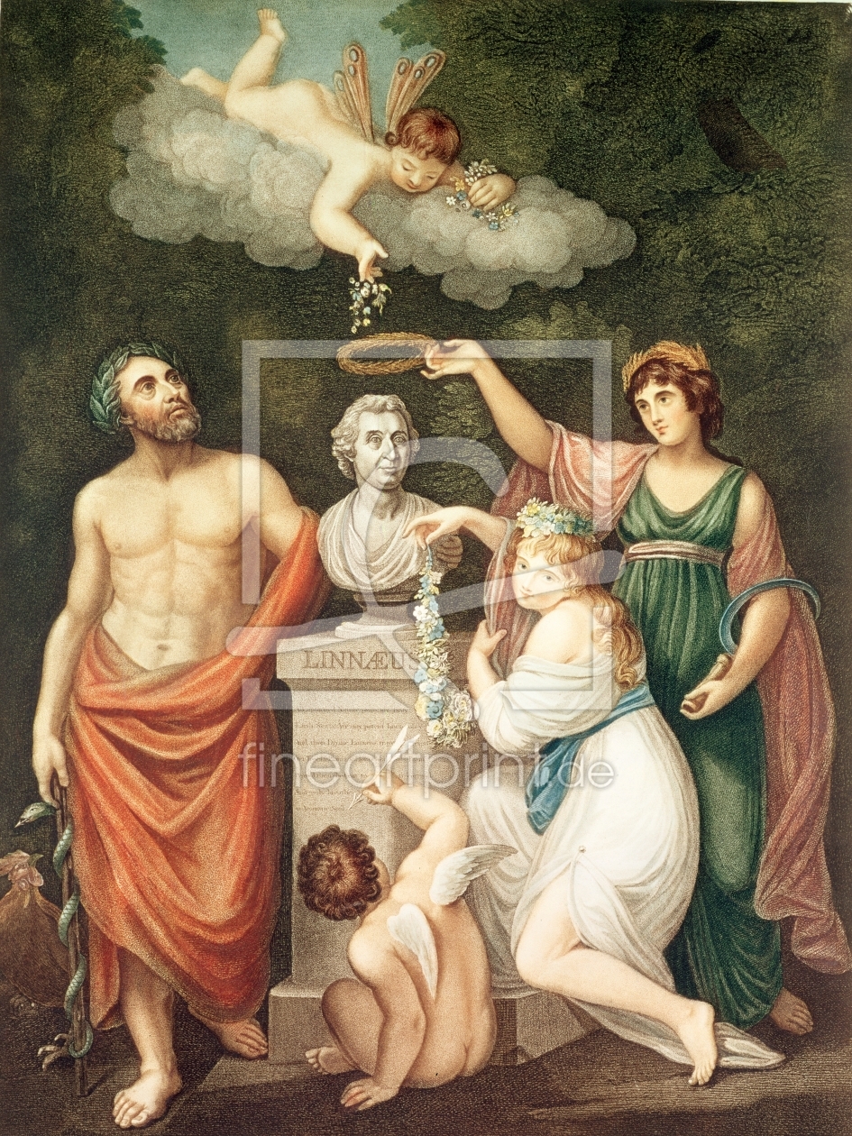 Bild-Nr.: 31002011 Aesculapius, Flora, Ceres and Cupid Honouring the Bust of Linnaeus, plate 17 fro erstellt von Anonyme Künstler