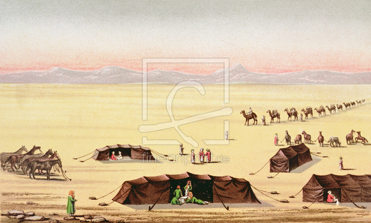 Bild-Nr.: 31002023 Our Desert Camp erstellt von Anonyme Künstler