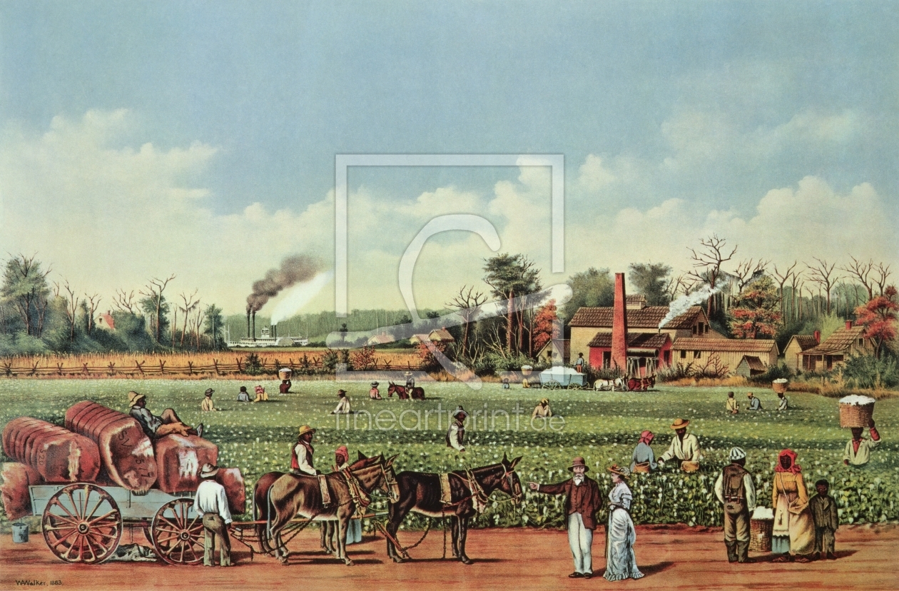 Bild-Nr.: 31002071 A Cotton Plantation on the Mississippi - the Harvest, engraved by Currier and Iv erstellt von Walker, William Aiken