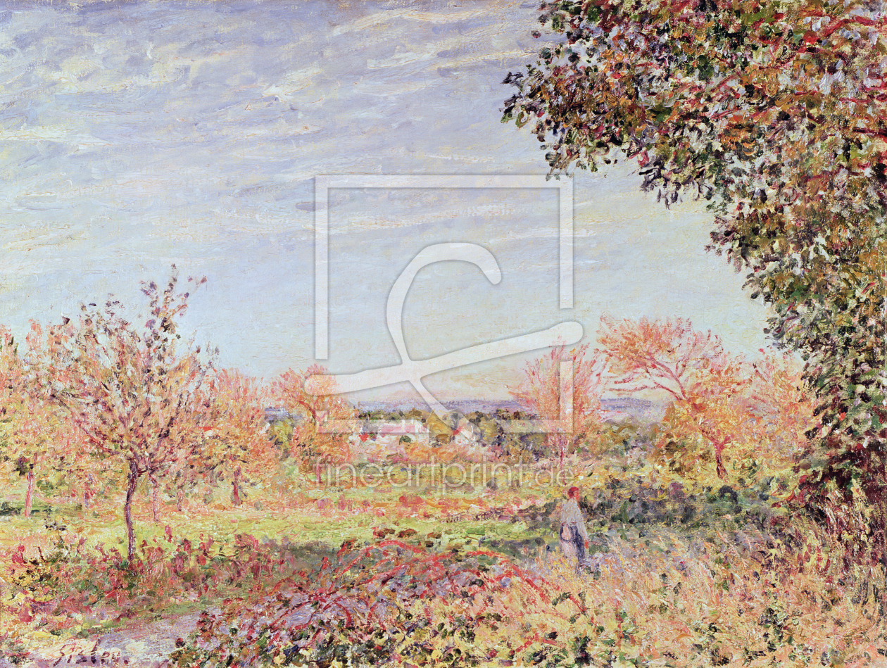 Bild-Nr.: 31002109 September Morning, c.1887 Bild-Nr.: 31002109 September Morning, c.1887 erstellt von Sisley, Alfred