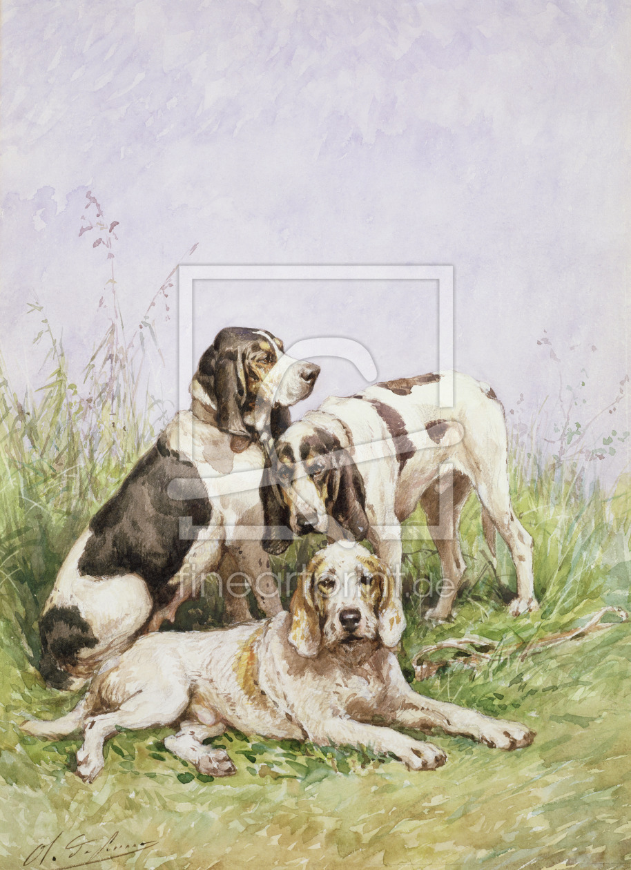 Bild-Nr.: 31002143 A Group of French Hounds erstellt von Penne, Charles Oliver de