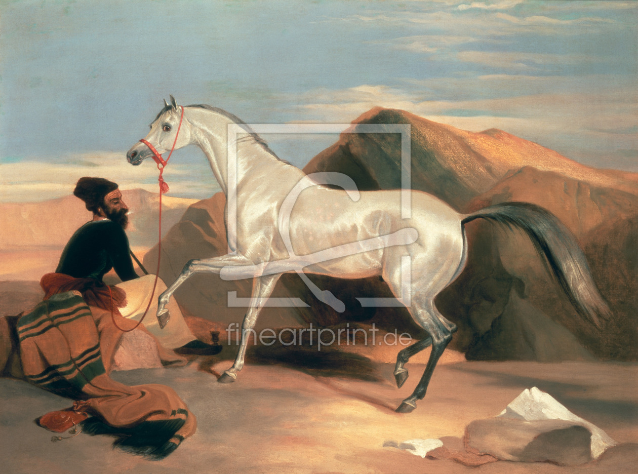 Bild-Nr.: 31002146 Arab Stallion erstellt von Landseer, Sir Edwin