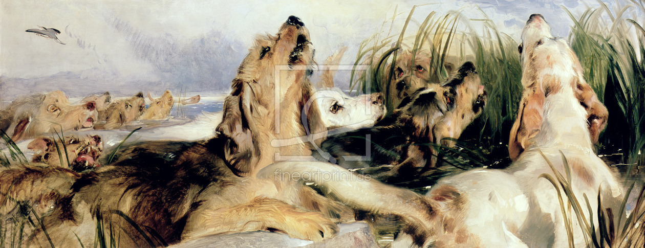 Bild-Nr.: 31002149 Otter Hounds erstellt von Landseer, Sir Edwin