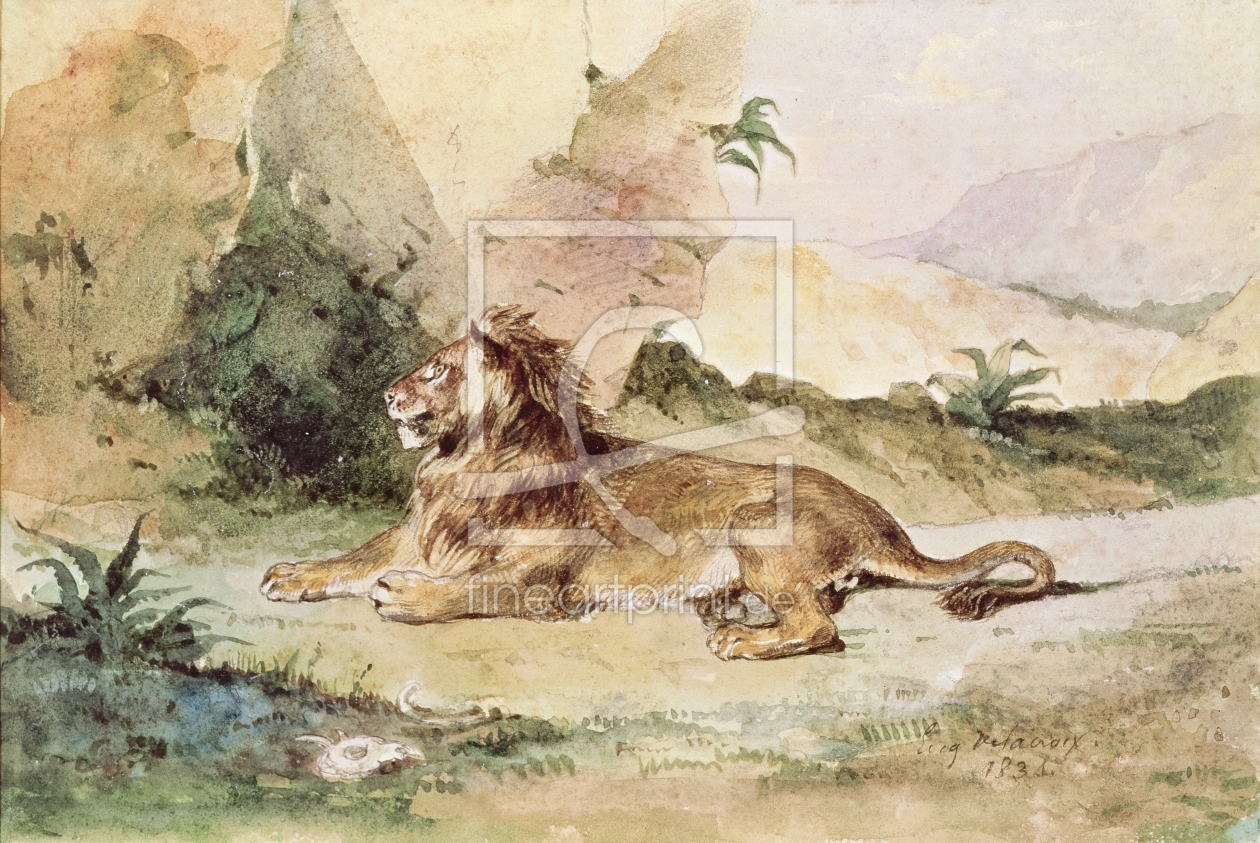 Bild-Nr.: 31002150 A Lion in the Desert, 1834 erstellt von Delacroix, Ferdinand Victor Eugene