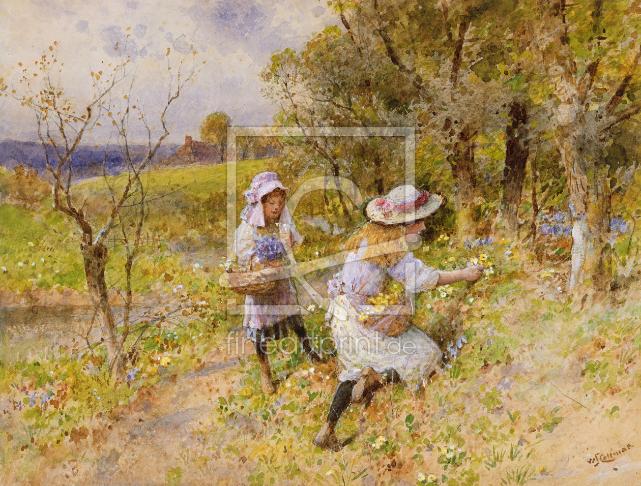 Bild-Nr.: 31002239 The Primrose Gatherers erstellt von Coleman, William Stephen