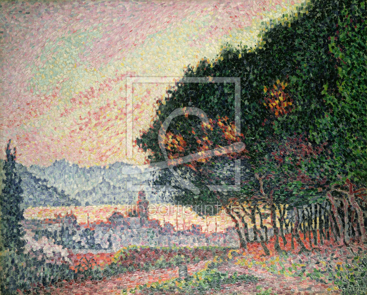 Bild-Nr.: 31002528 Forest near St. Tropez, 1902 erstellt von Signac, Paul