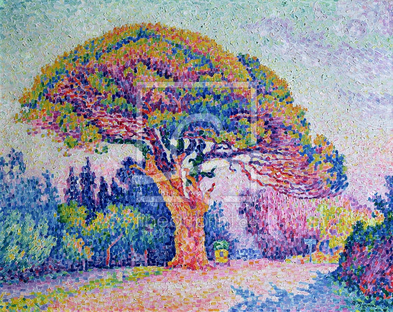 Bild-Nr.: 31002530 The Pine Tree at St. Tropez, 1909 erstellt von Signac, Paul