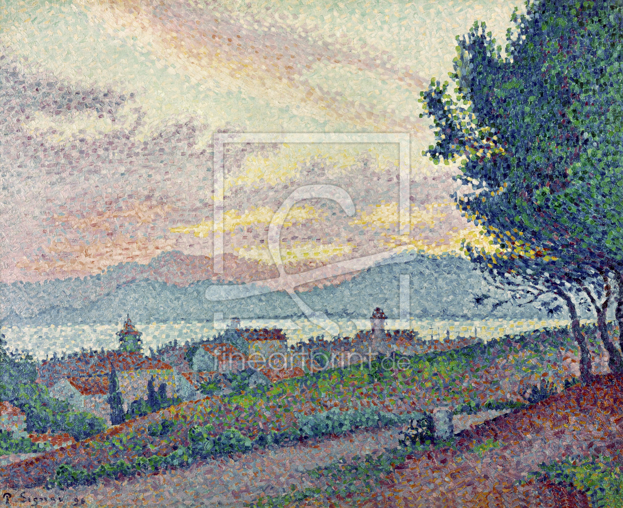 Bild-Nr.: 31002536 St. Tropez, Pinewood, 1896 erstellt von Signac, Paul