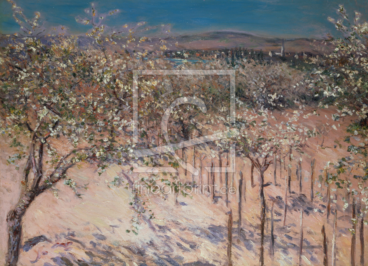 Bild-Nr.: 31002653 Orchard with Flowering Apple Trees, Colombes erstellt von Caillebotte, Gustave