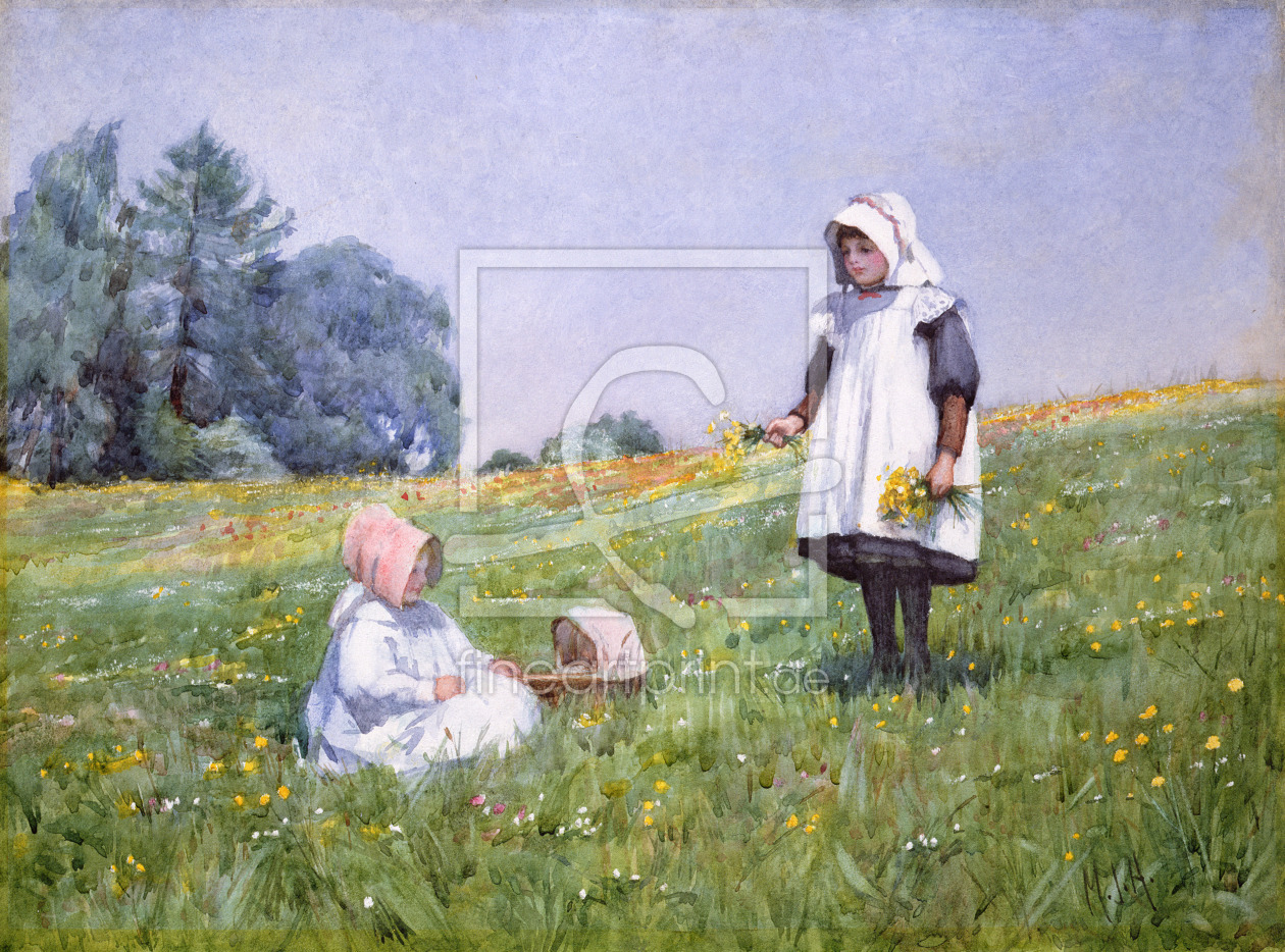 Bild-Nr.: 31002783 Buttercups and Daisies erstellt von Hardman, Minnie Jane