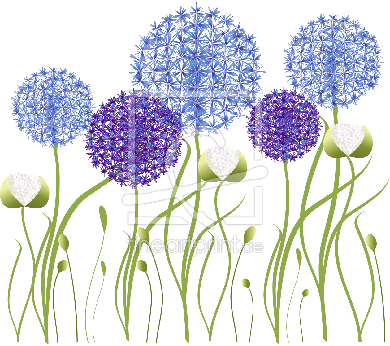 Bild-Nr.: 9007130 Allium Garten erstellt von patterndesigns-com