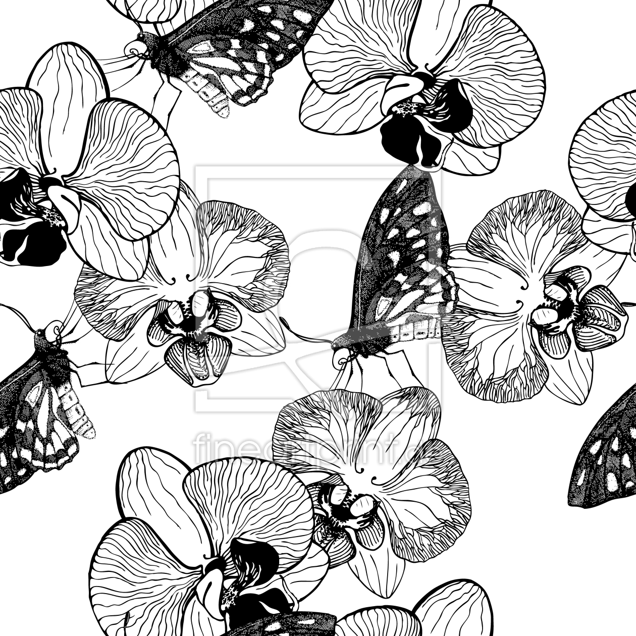 Bild-Nr.: 9007671 Orchidee und Schmetterling erstellt von patterndesigns-com