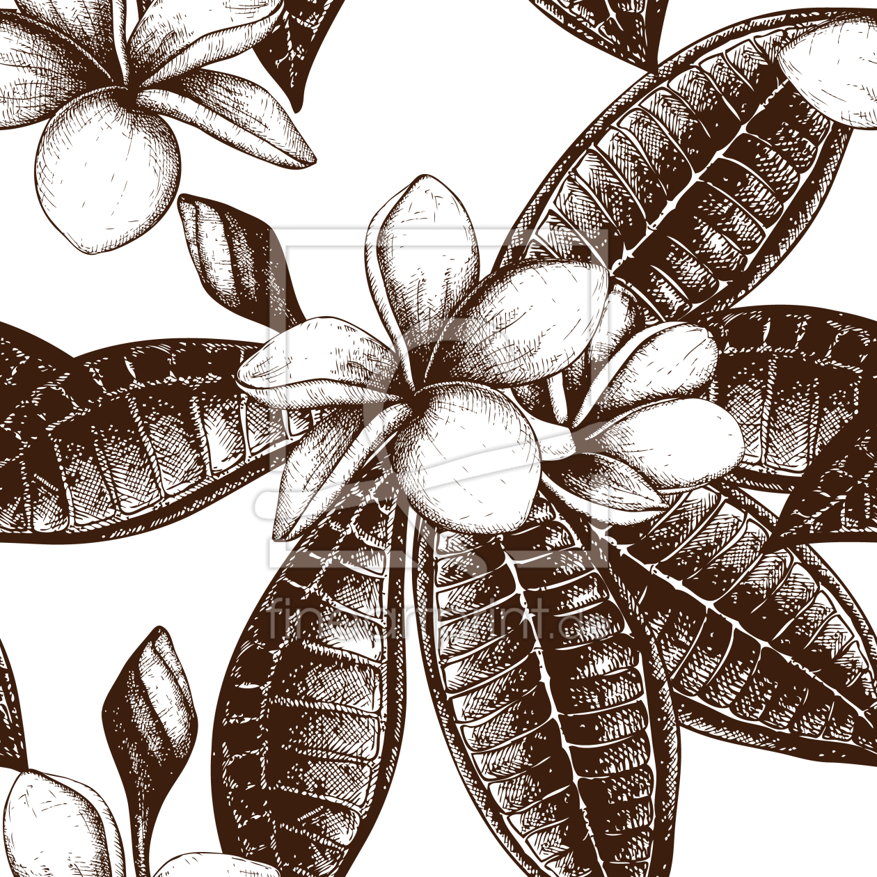 Bild-Nr.: 9007863 Frangipani Sketch erstellt von patterndesigns-com