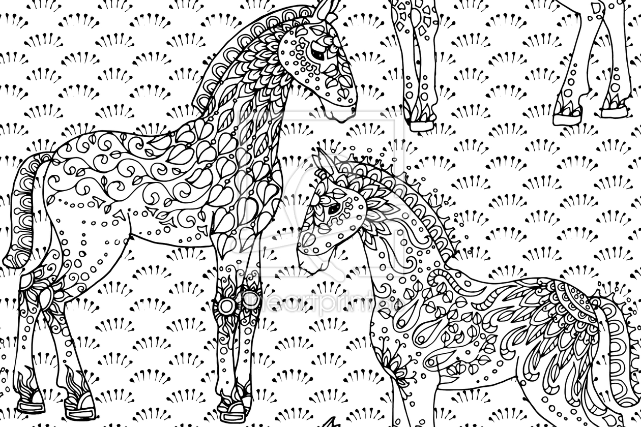 Bild-Nr.: 9009510 Fohlen auf der Wiese erstellt von patterndesigns-com