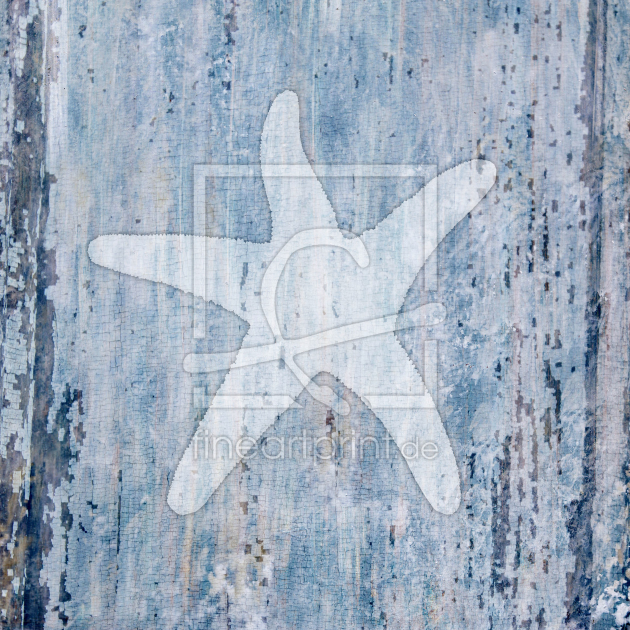 Bild-Nr.: 9102052 Sealife Starfish erstellt von CASA-FINE-ARTS