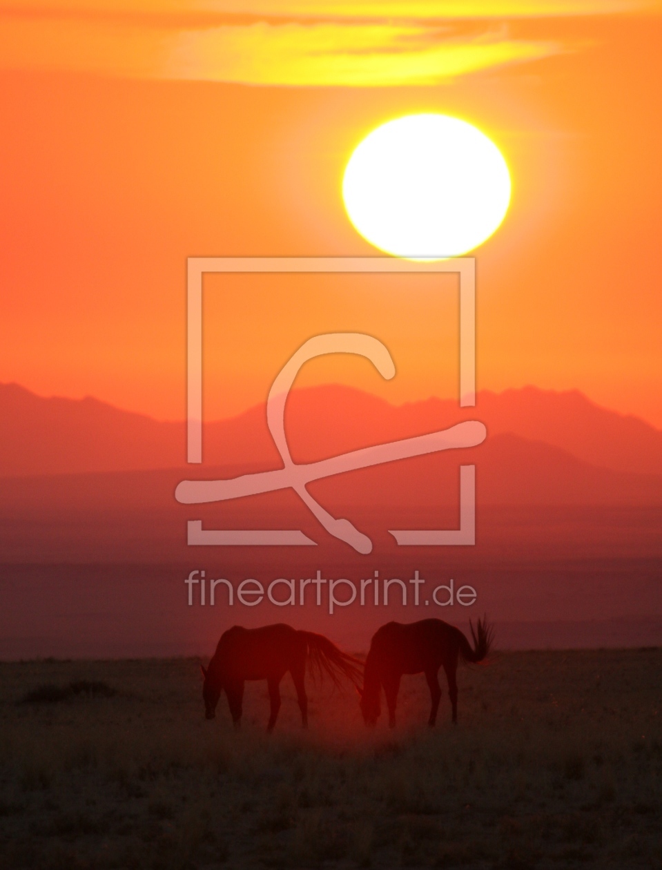 Bild-Nr.: 9246699 Wildpferde in Namibia erstellt von MisterMister