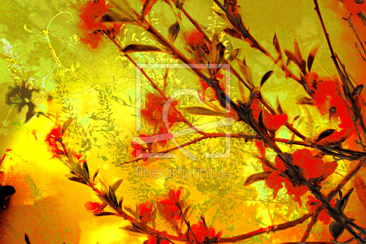 Bild-Nr.: 9250854 Wildblüten erstellt von artesigno