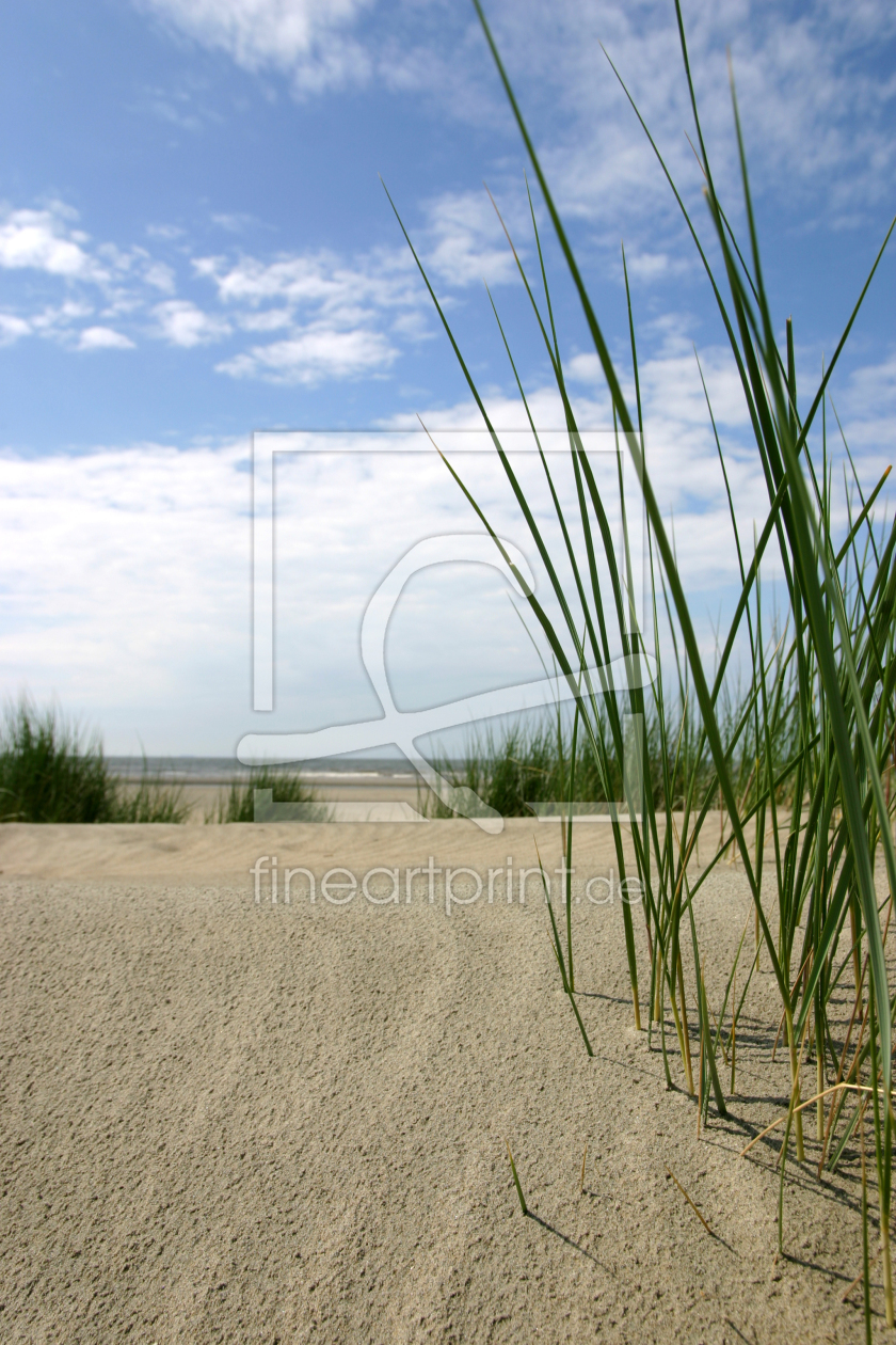 Bild-Nr.: 9264565 Strandgräser erstellt von bilderwerk