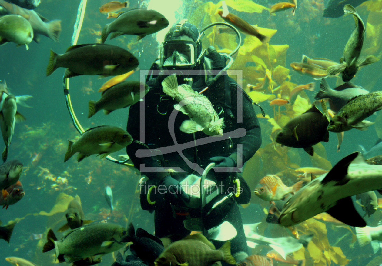 Bild-Nr.: 9282829 Fischfutter erstellt von ewusi