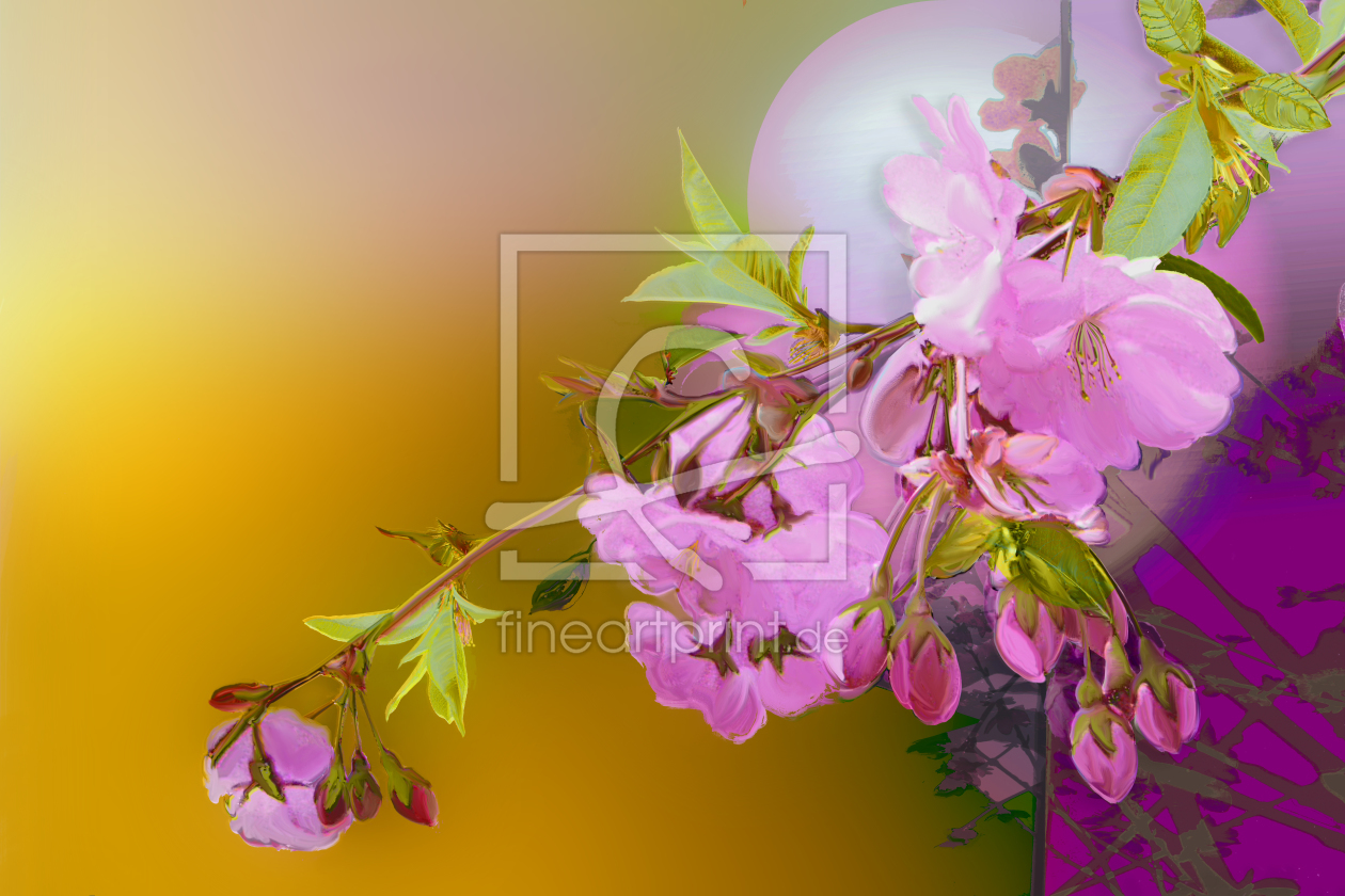 Bild-Nr.: 9299199 Kirschblütenzweig erstellt von artesigno